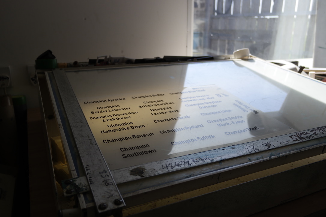 Film being exposed onto a screen